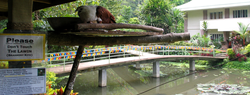 Davao Student Tours - Philippine Eagle Center