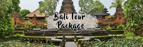 Bali Indonesia Tour Package