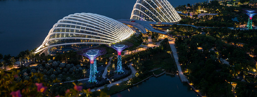 Singapore Night Tour - Gardens by the Bay