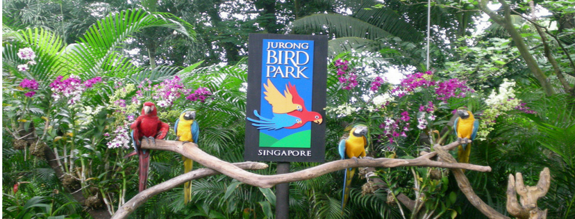 Singapore Tour - Jurong Bird Park Tour