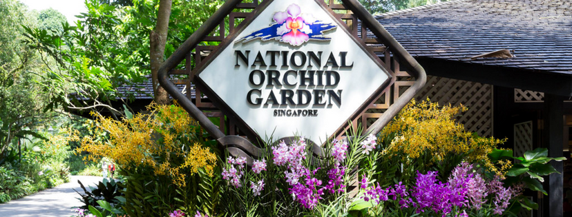 Singapore Day Tour - National Orchid Garden