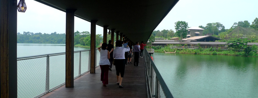 Singapore Tour - River Safari Tour