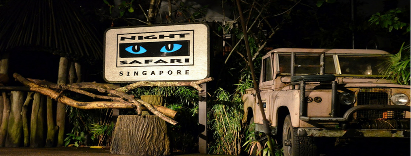 Singapore Night Safari - Safari Night Tour