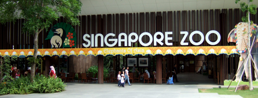 Singapore Tour - Singapore Zoo Tour