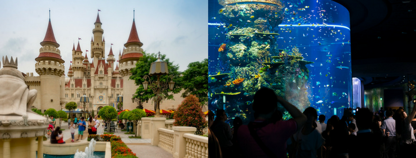 Singapore Tour - Universal Studios Singapore + S.E.A. Aquarium