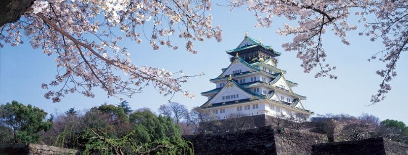 japan tour package for 5 days