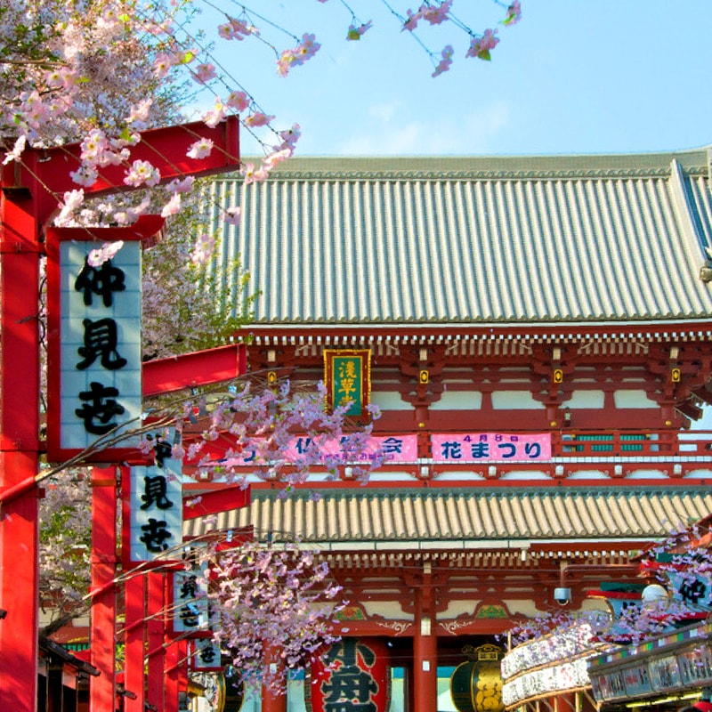 Tokyo Tour Package Tours + Transfers + Hotel 4 Days 3 Nights