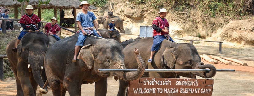 Thailand - Chiang Mai Tour Package - Amazing Chiang Mai 4D3N