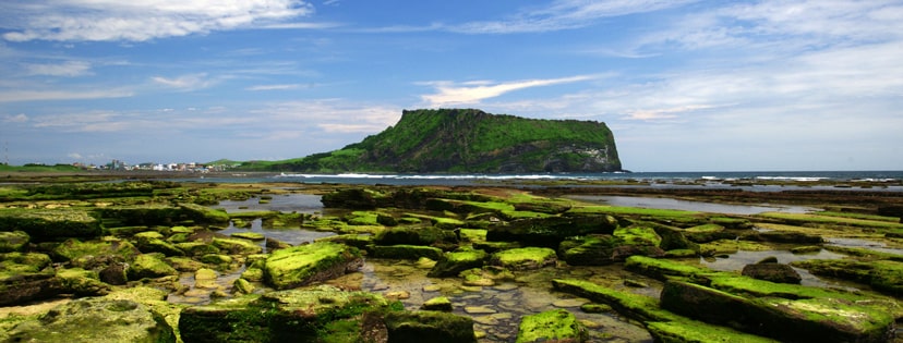 jeju island package tour from philippines 2022